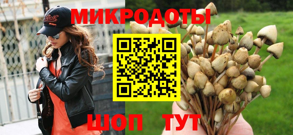 Учалы  Псилоцибиновые грибы Psilocybe  Вход с VPN 